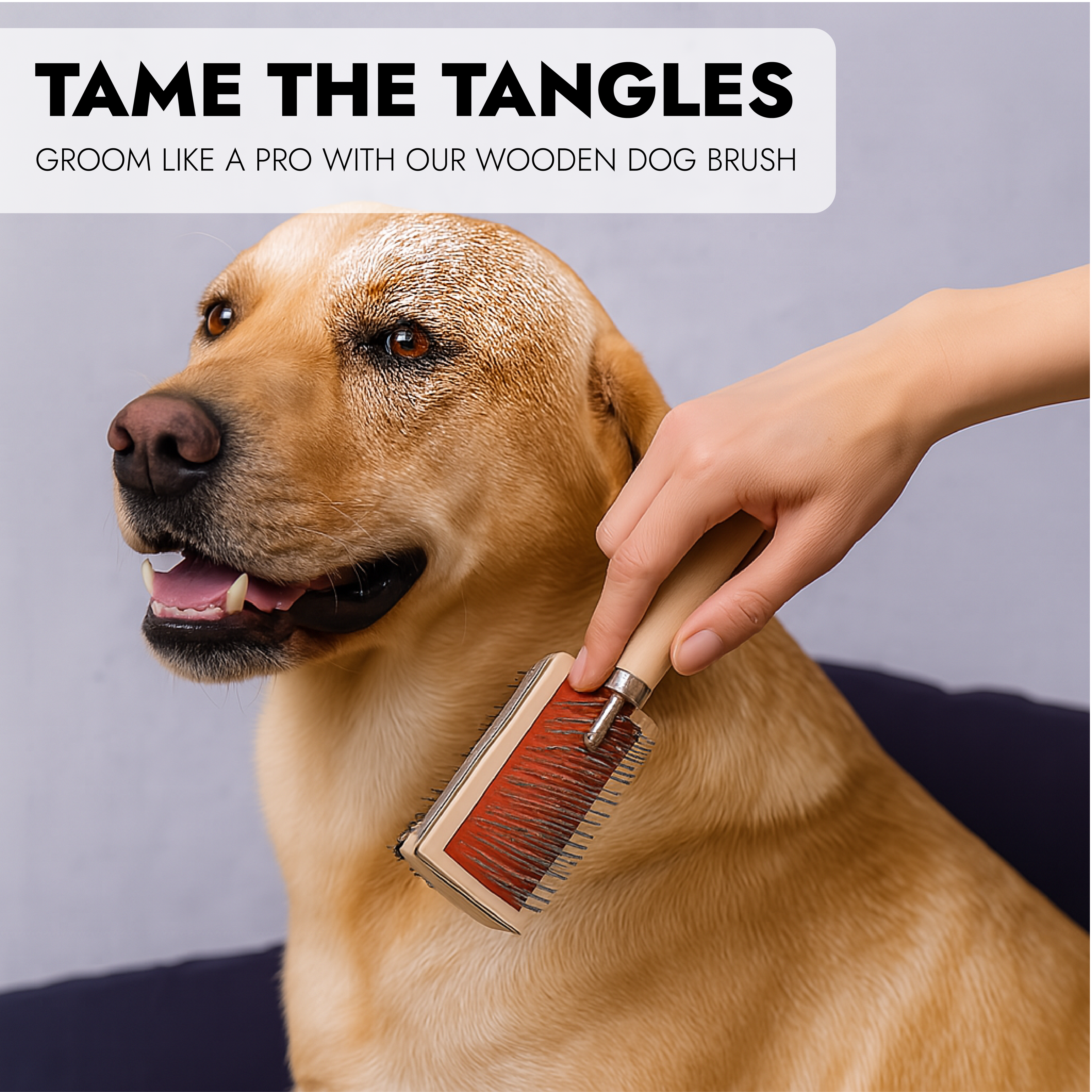 Cepillo para perros de madera con cerdas duras y suaves - Cepillo de doble cara