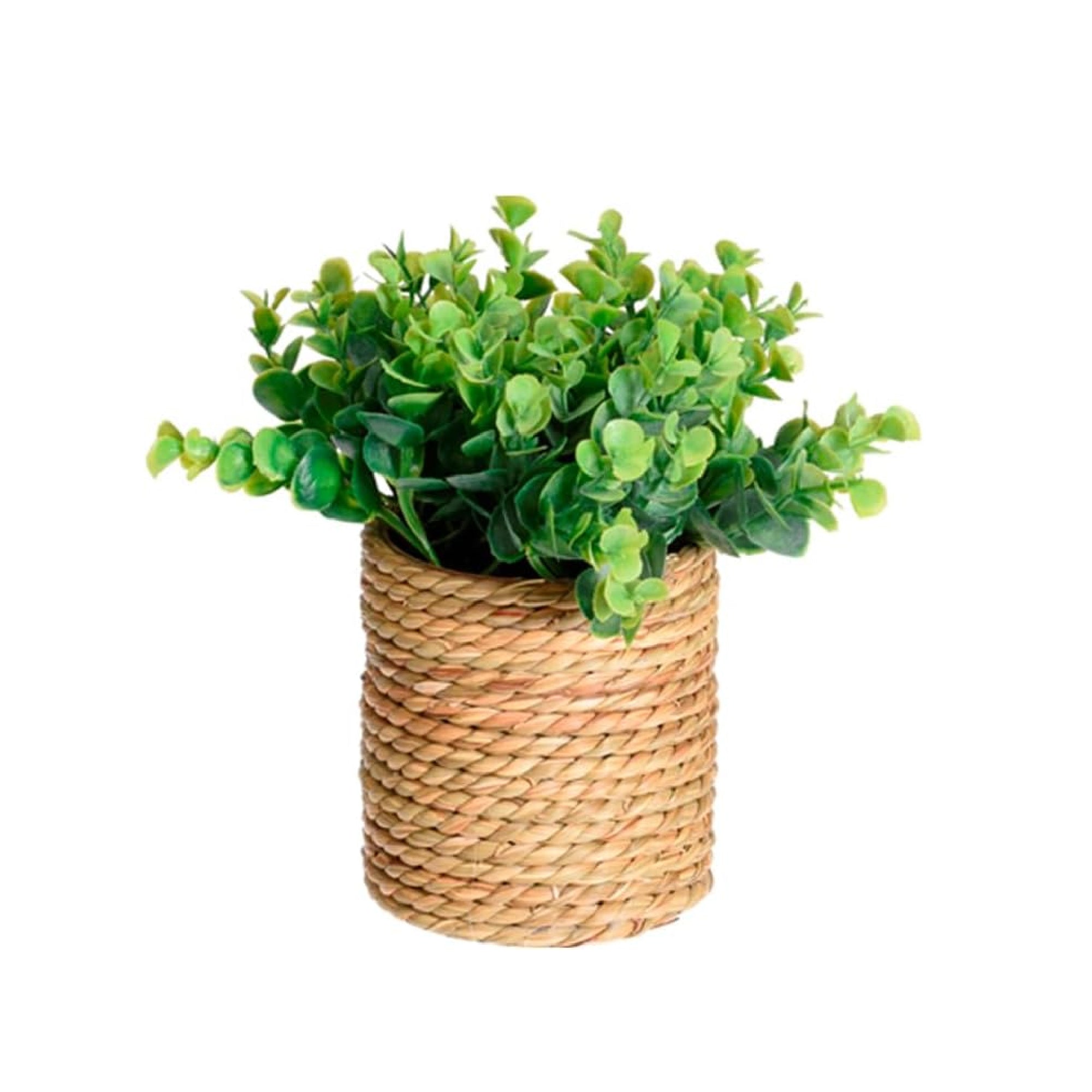 Artificial Plant in Seagrass Pot – 23cm Tall, 4 Assorted Designs