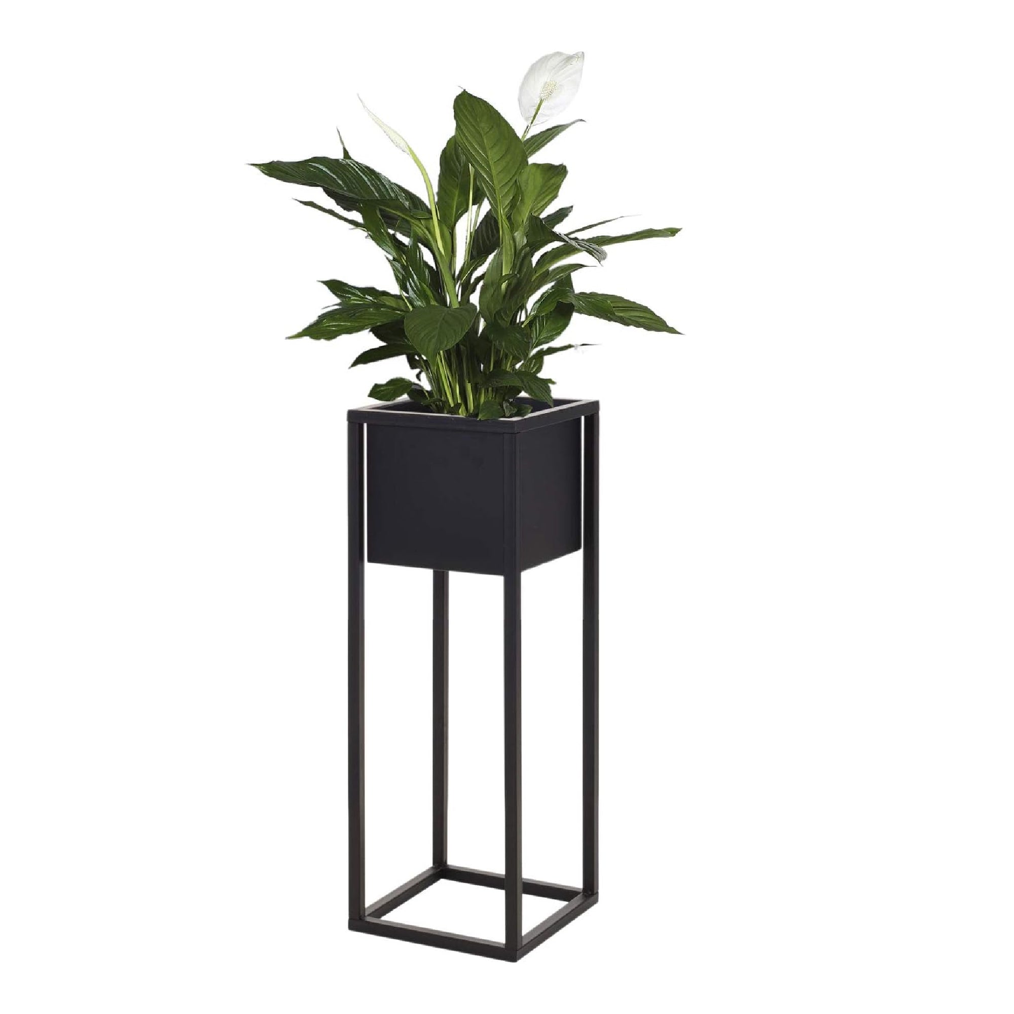 Maceta y jardinera de metal negro - 50 cm de altura (18 x 21 cm)