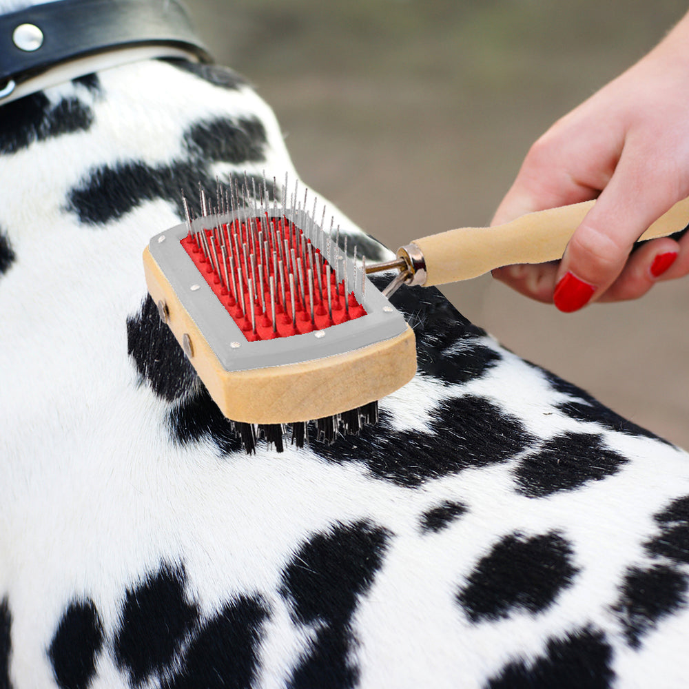Cepillo para perros de madera con cerdas duras y suaves - Cepillo de doble cara