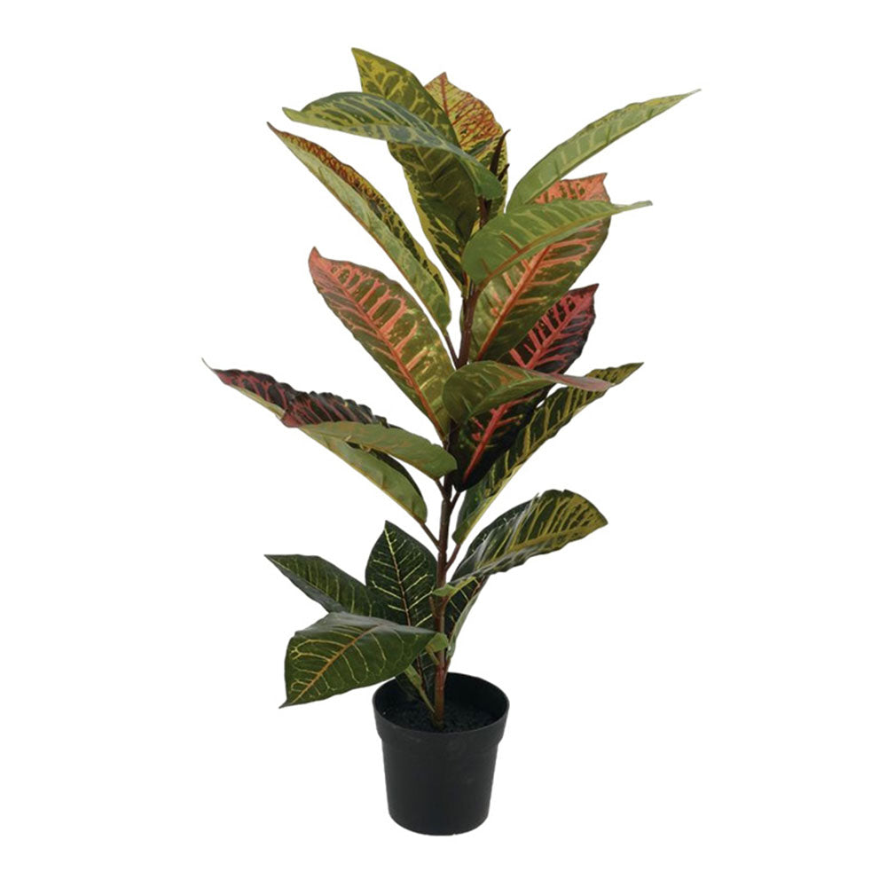 Artificial Calathea Plant in Black PP Pot