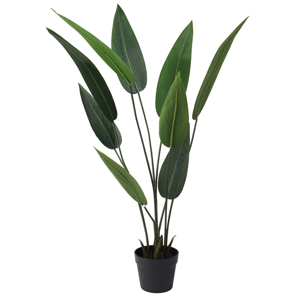 Artificial Plant and Strelitzia Tree for Home Decor