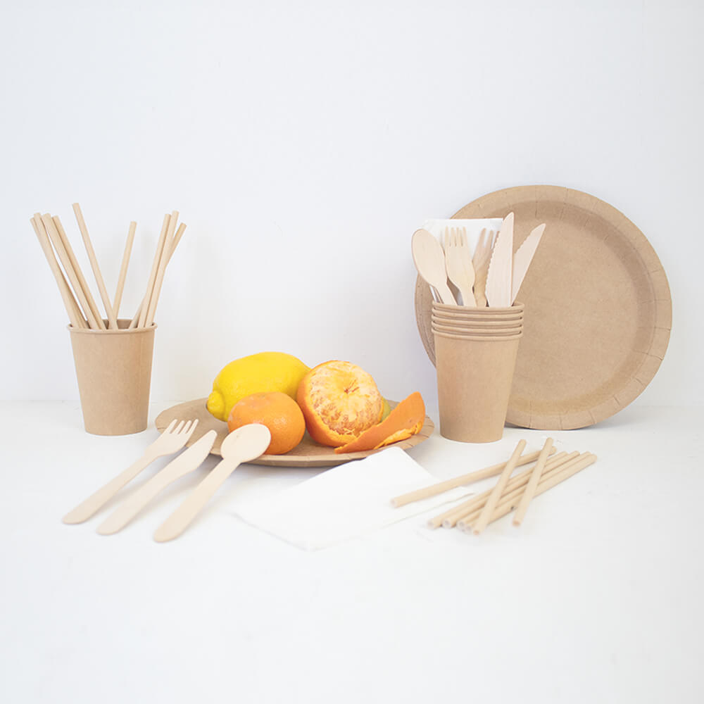 Disposable Biodegradable Cutlery Set - All in 1