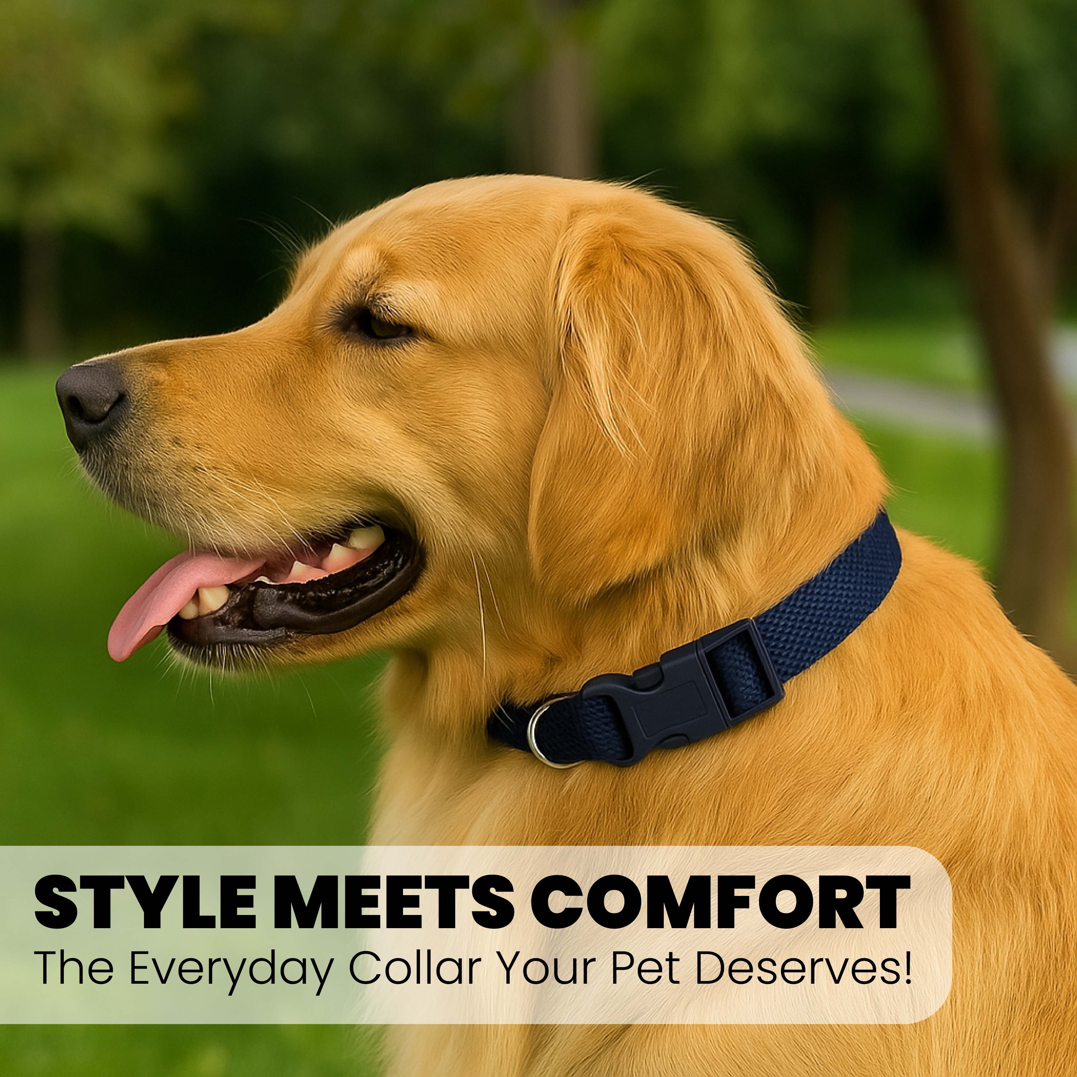 Collar para perro ajustable con clip para correa - Tamaño pequeño a mediano