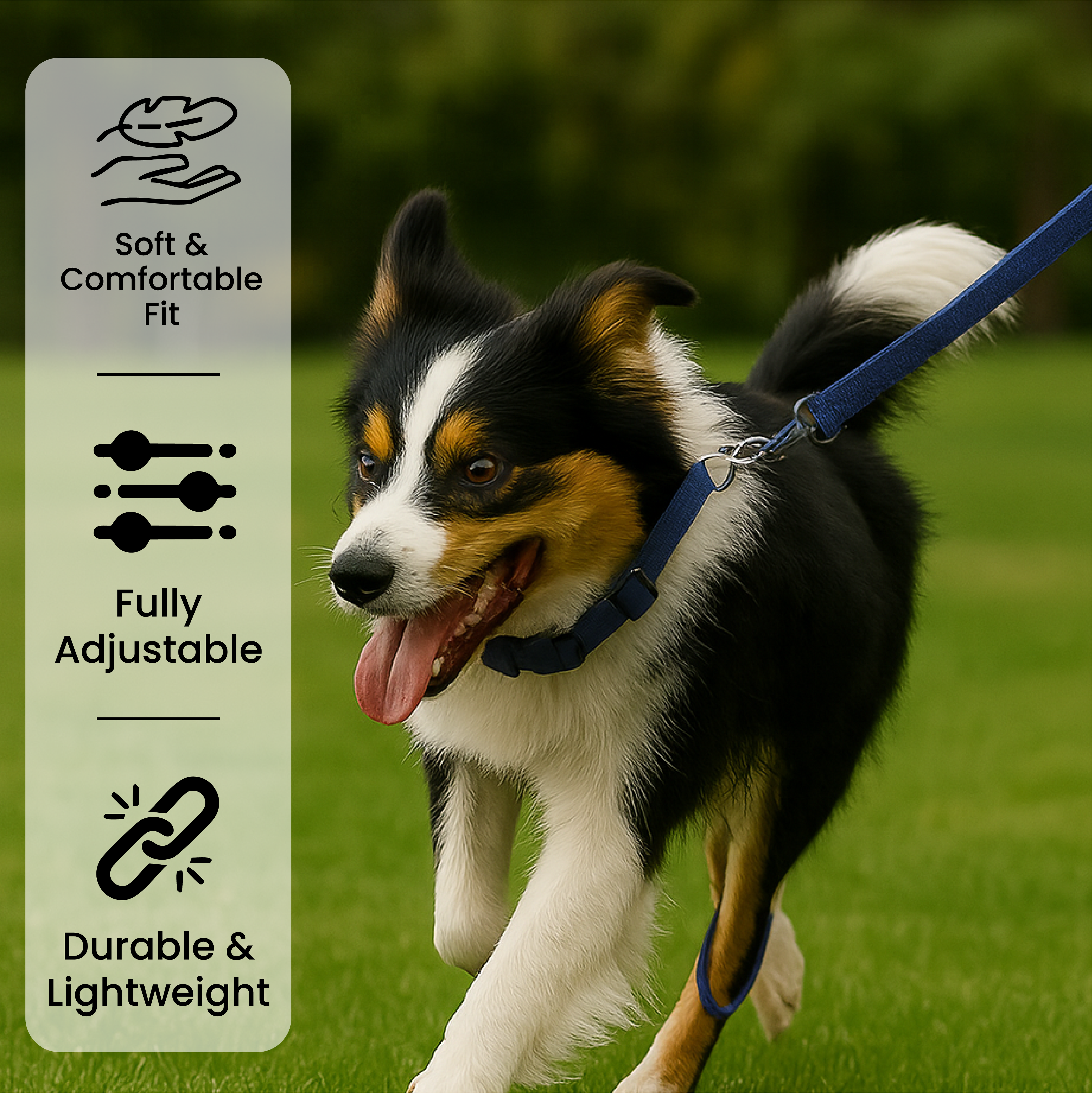 Collar para perro ajustable con clip para correa - Tamaño pequeño a mediano