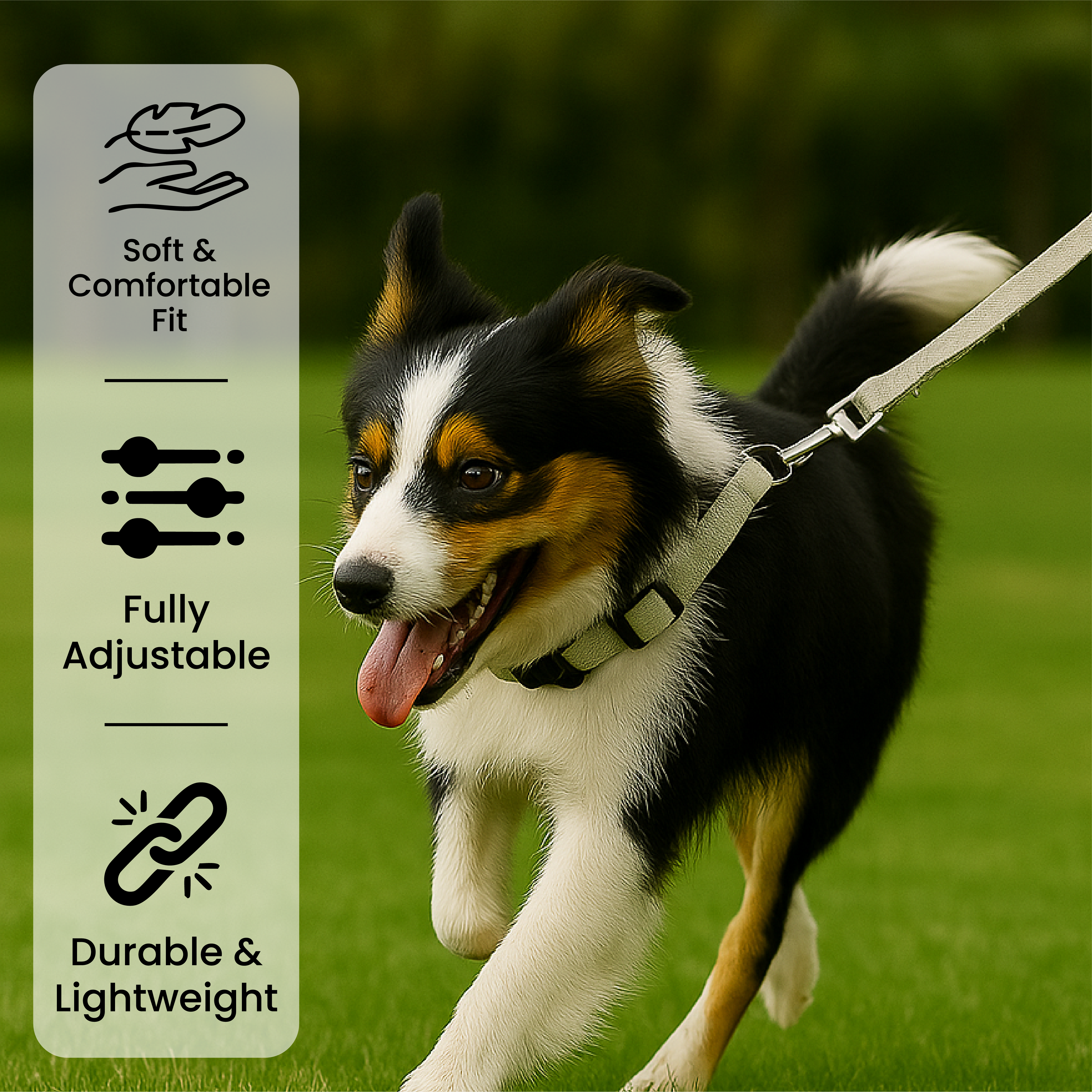 Collar para perro ajustable con clip para correa - Tamaño pequeño a mediano