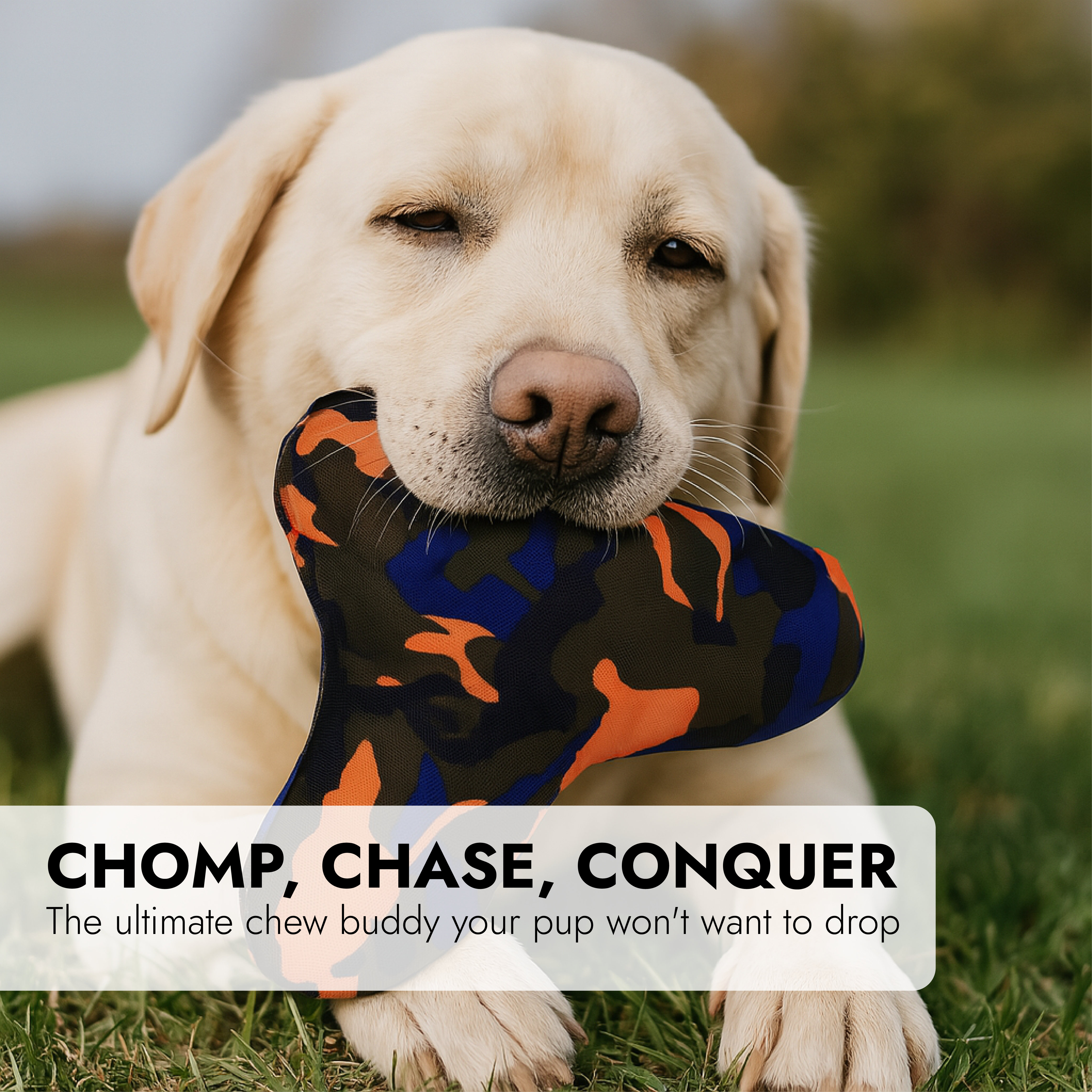 Juguete masticable para perros con chirriador