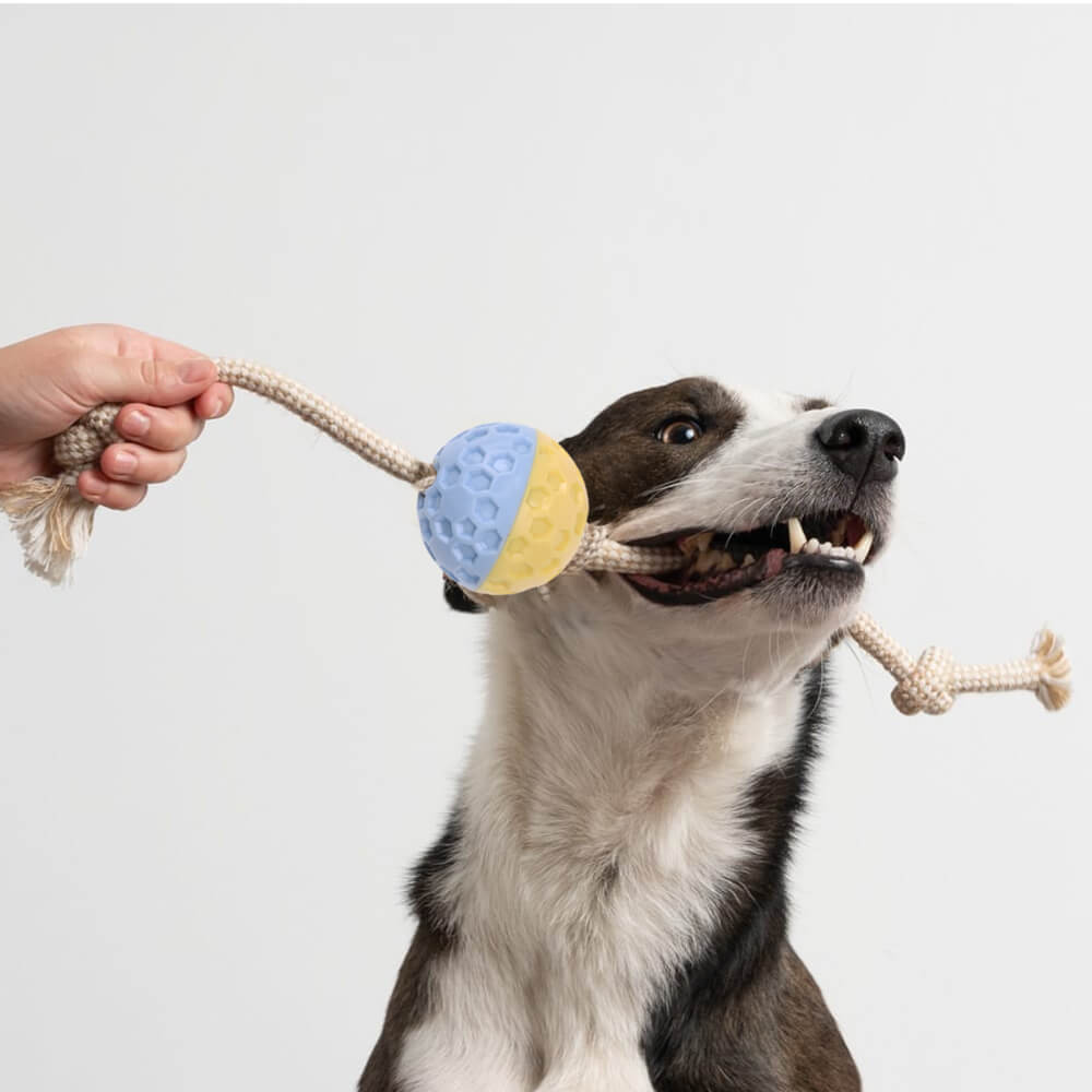 Eco-Friendly Dog Toy with Ball