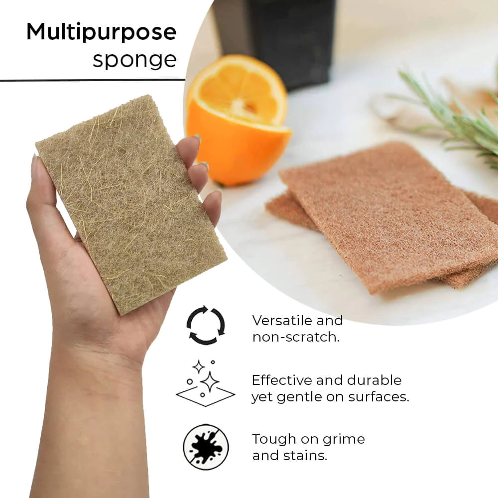 Eco-Friendly Scouring Pad - Set of 3