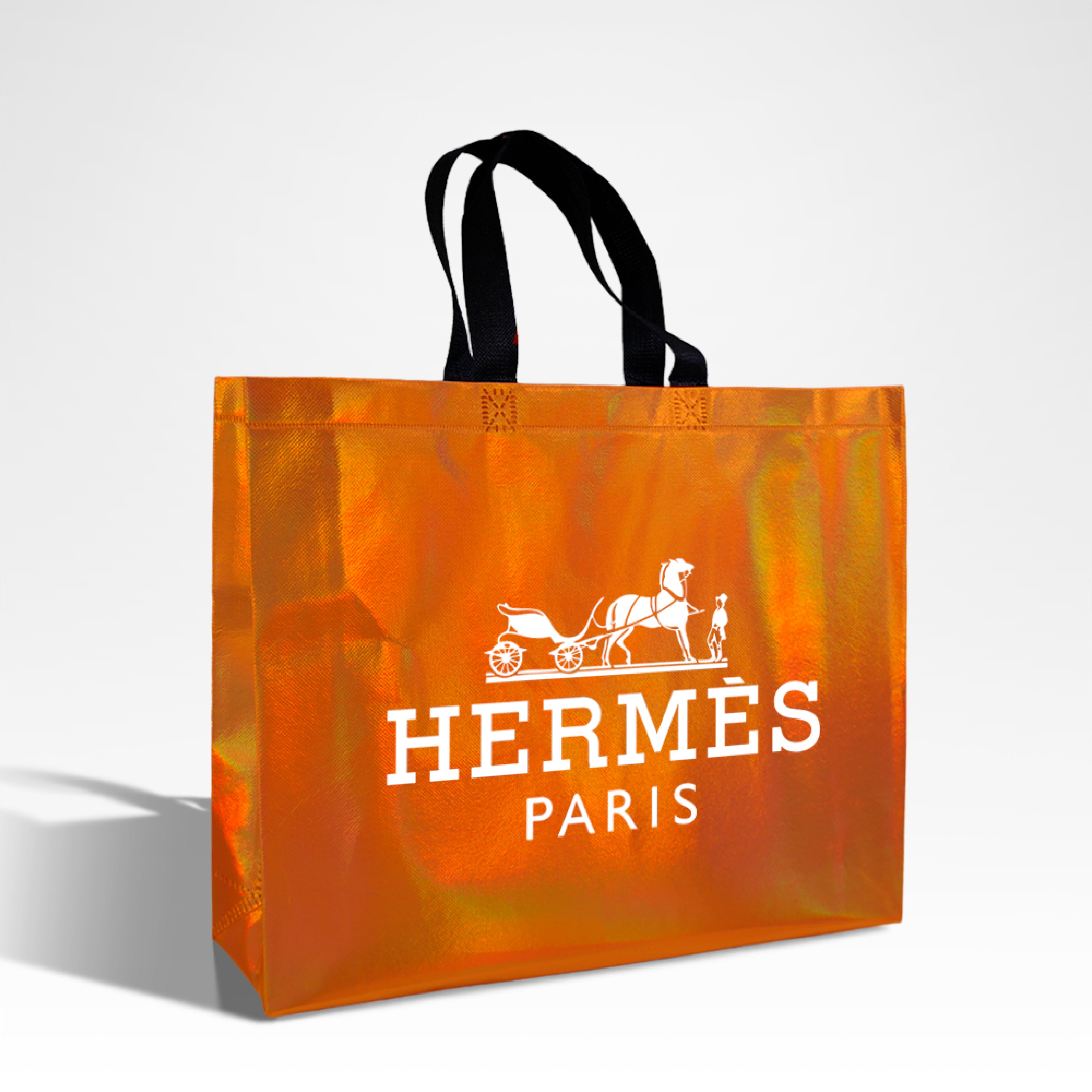 S Assorted Reusable Laminated Metallic Gift Bag | 80GSM, 8.3L