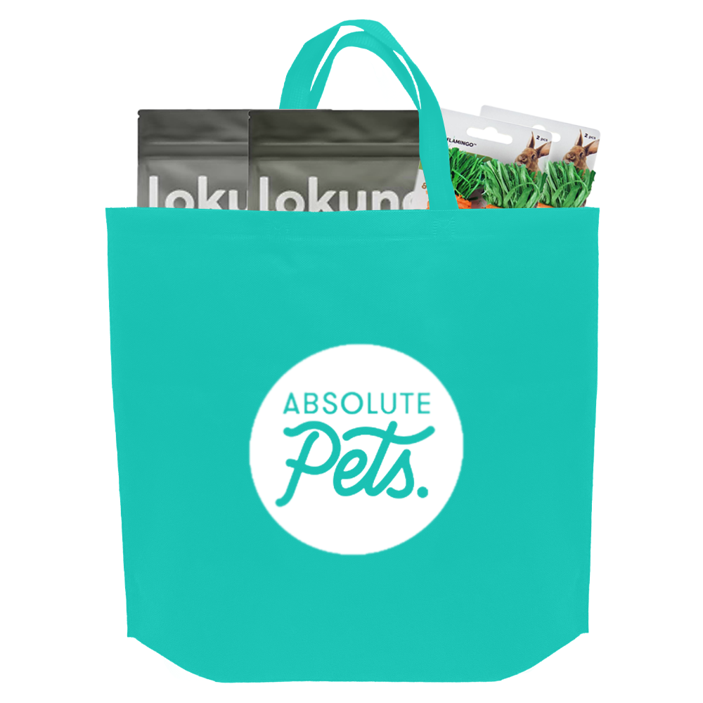 Bolsa de compras reutilizable de tejido no tejido turquesa | 70G/M2, 28L