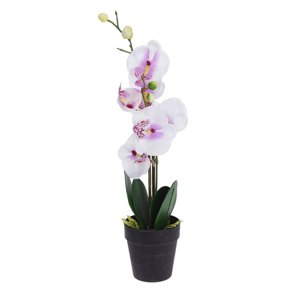 Artificial Orchid Plant in Pot