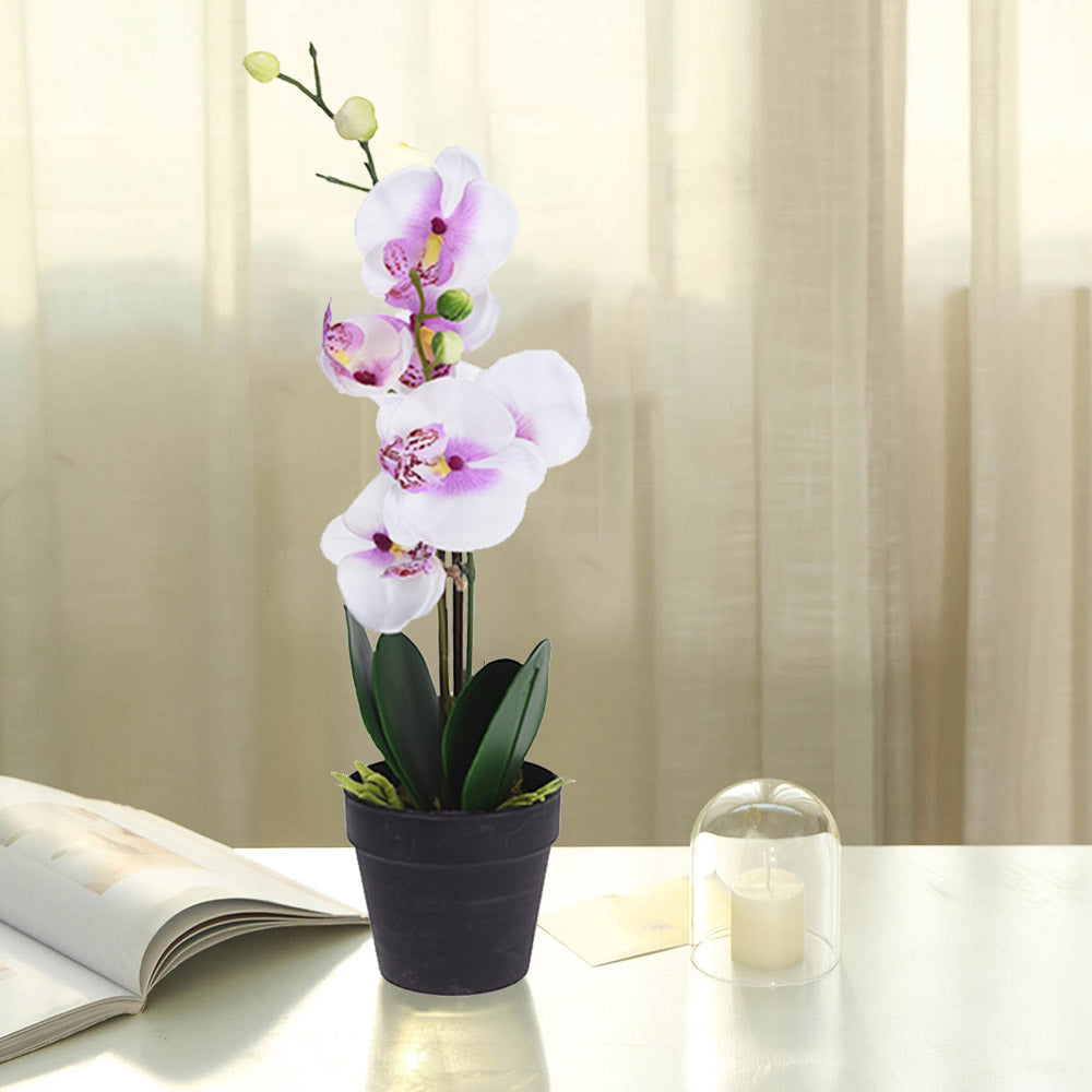 Artificial Orchid Plant in Pot