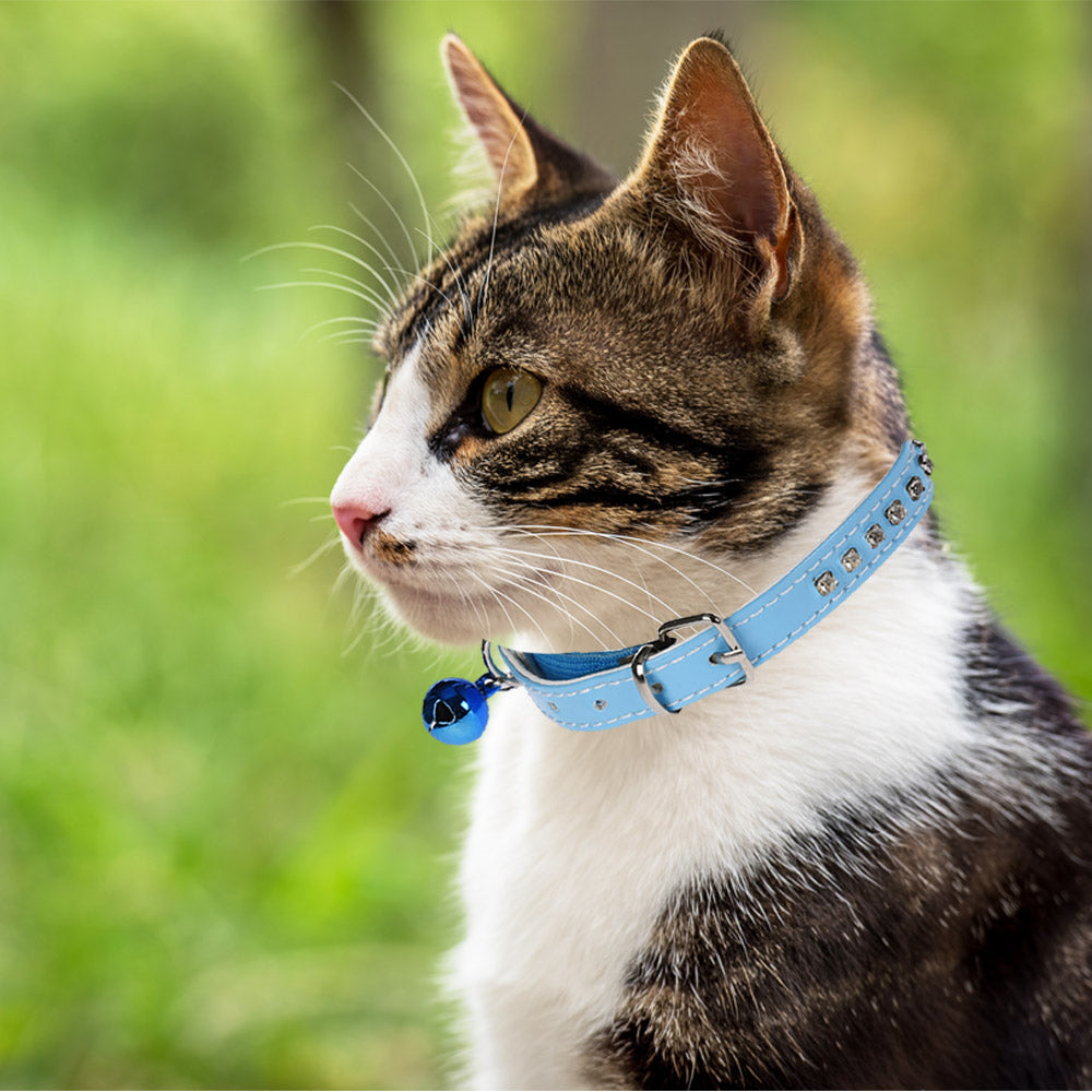 Collar para gato con cascabel y decoración de diamantes falsos