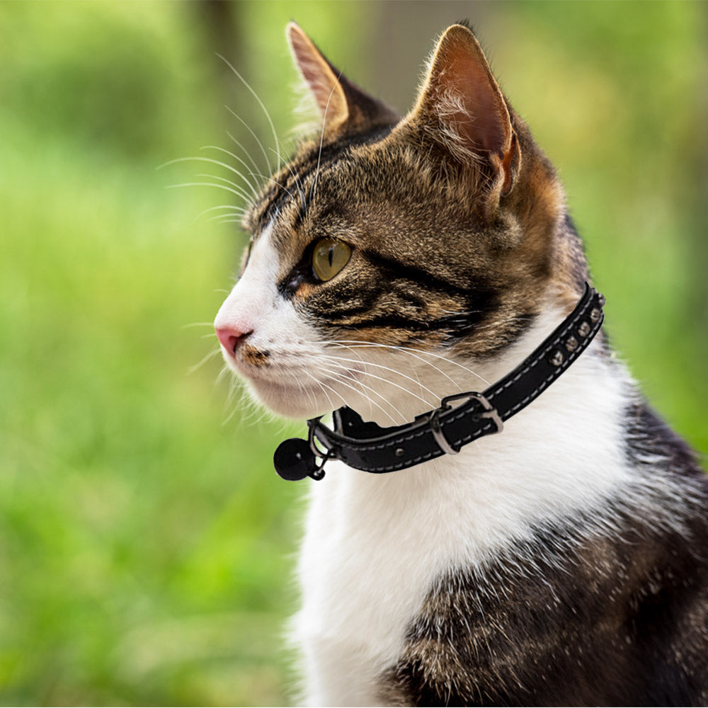 Collar para gato con cascabel y decoración de diamantes falsos