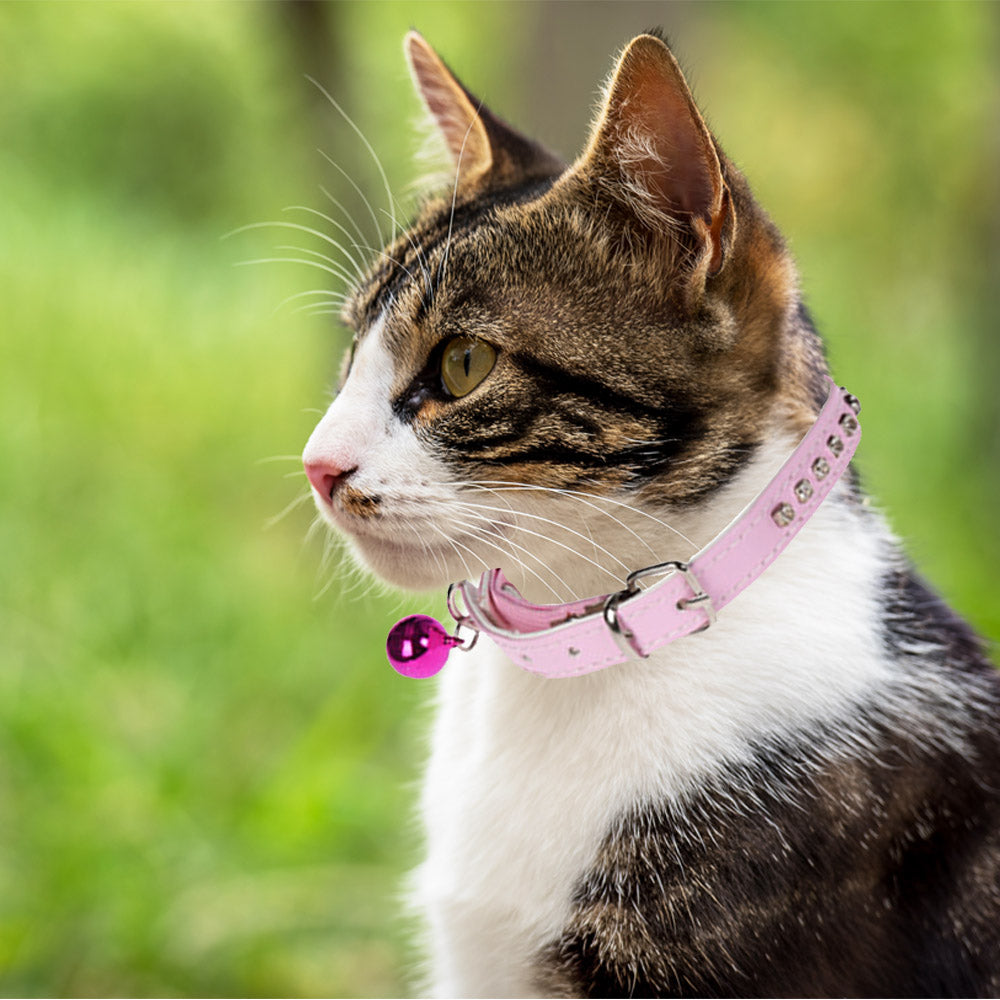 Collar para gato con cascabel y decoración de diamantes falsos