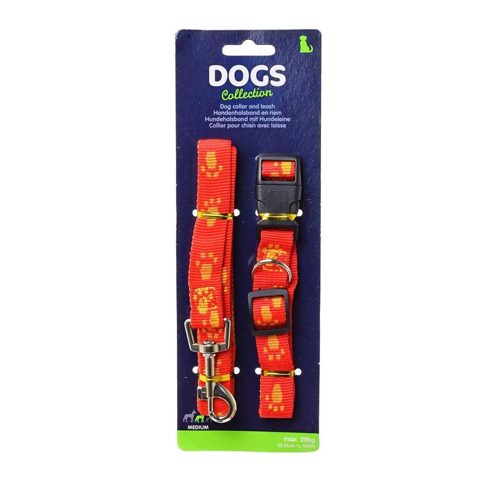 Dog Color Orange