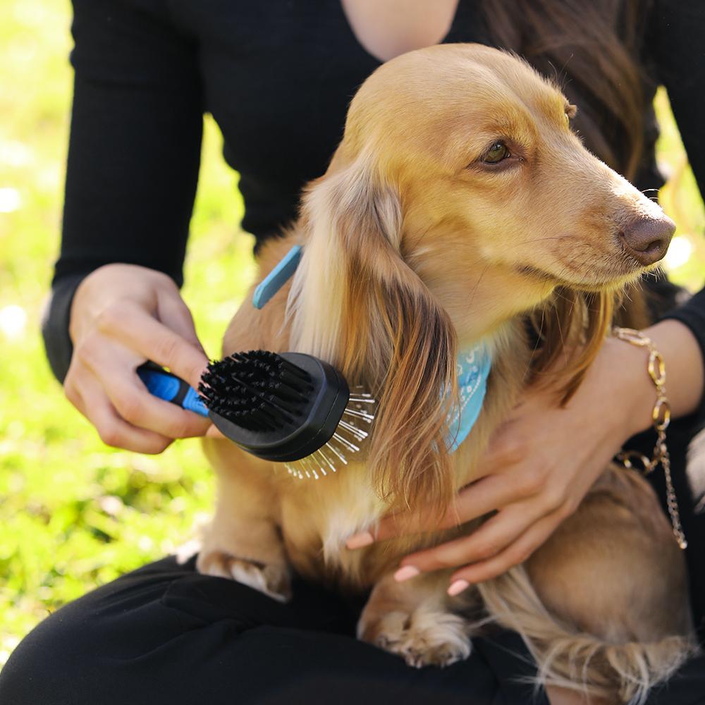 Cepillo para mascotas - Doble cara - Cerdas duras y suaves