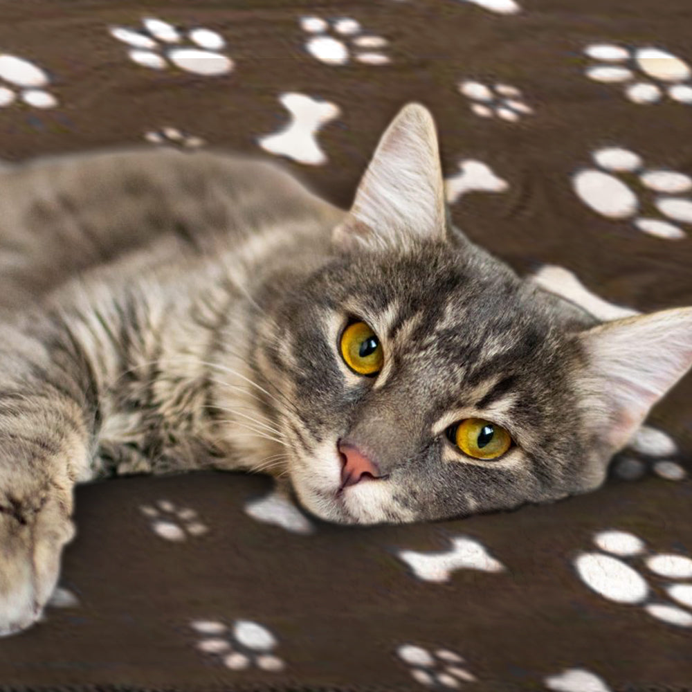 Large Pet Fleece Blanket with Paw Print