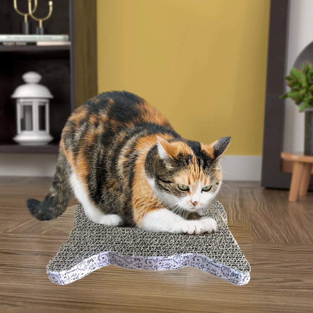 Cat Scratcher with Catnip