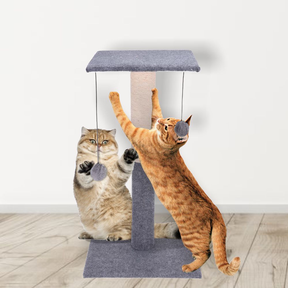 Soporte para árbol rascador para gatos con 2 bolas - 60 cm 