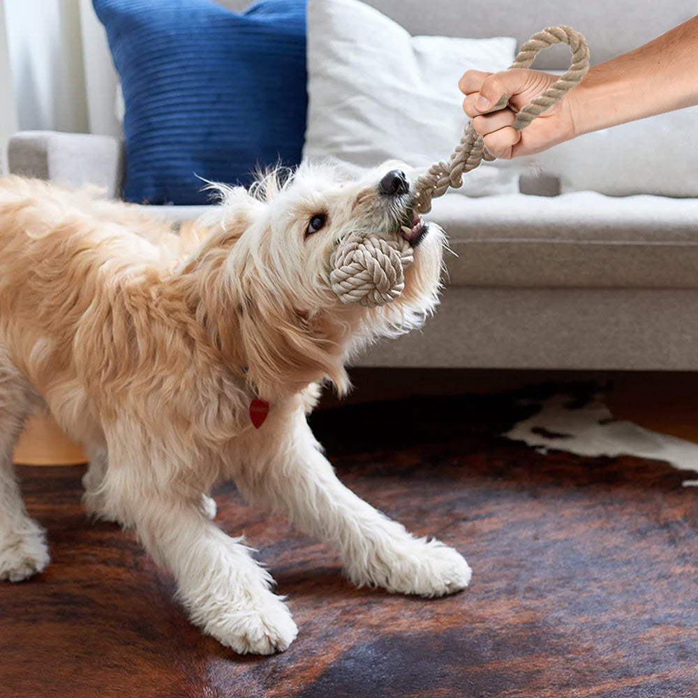 Cuerda de juguete para perros con pelota - 2 en 1