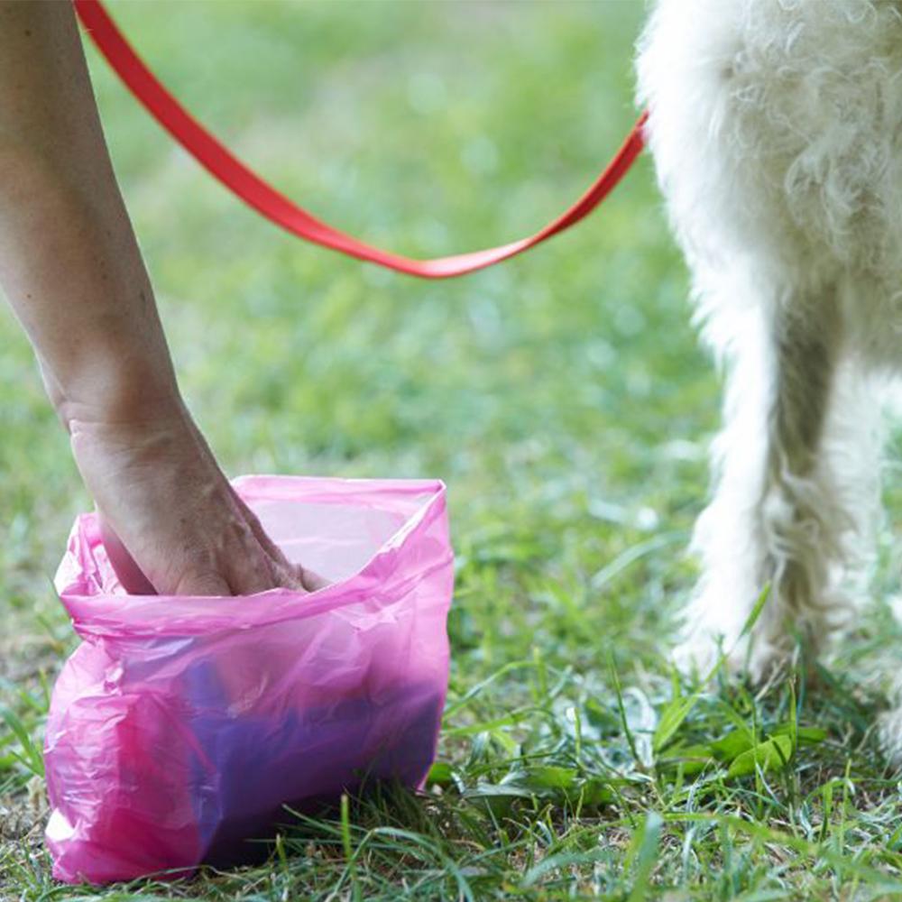 Juego de bolsas para excrementos de mascotas - Paquete de 4 - 180 piezas