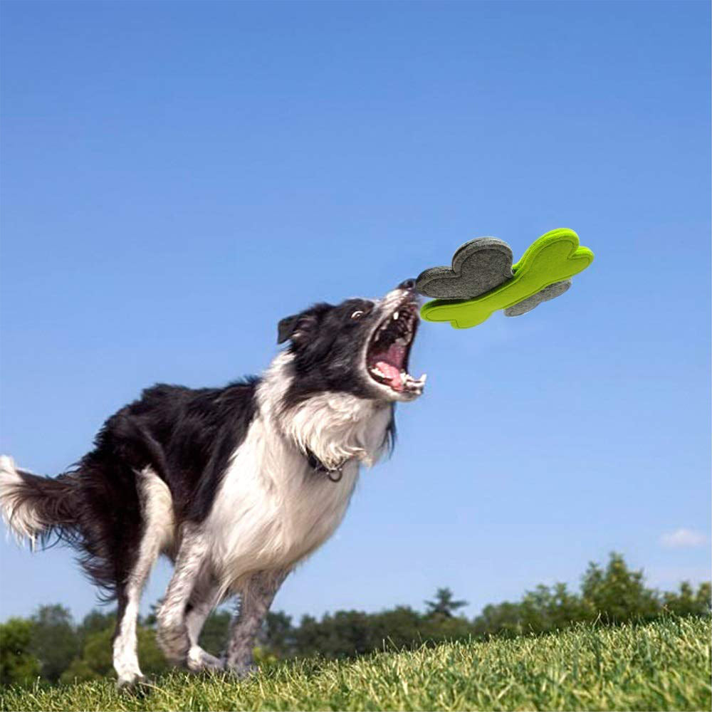 Dog Frisbee Toy