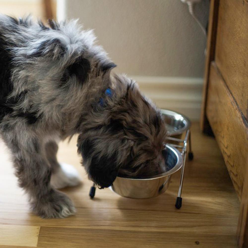 Pet Bowls on Stand - Set of 3 Pieces - Stainless Steel