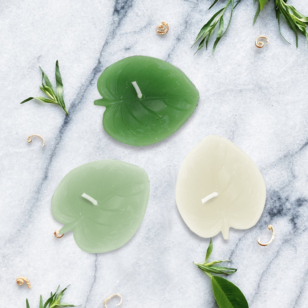 Candles - Leaf Shape - 6 Pieces - Jungle Vibes