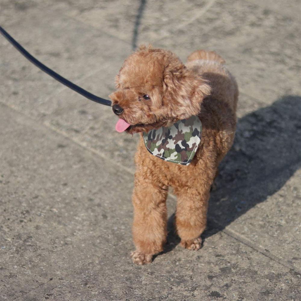 Collar de tela para mascotas con collar ajustable