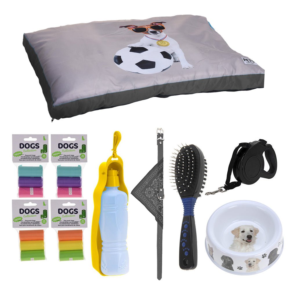 Pet Dog starter kit