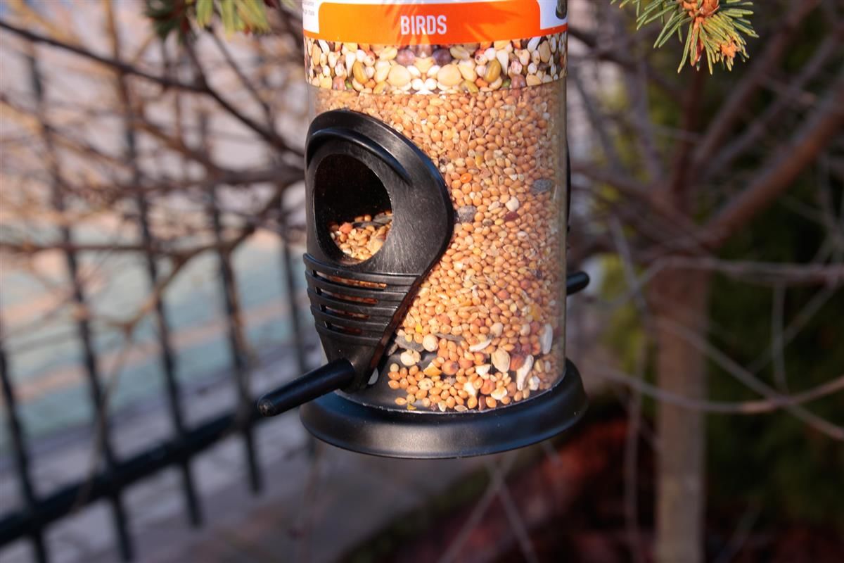 Comedero para pájaros con soporte para colgar
